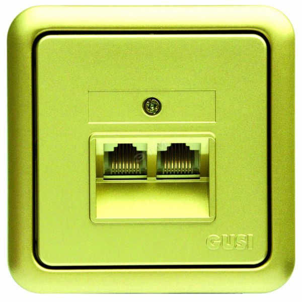 GUSI Розетка компьютерная двойная в рамку золото