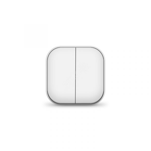 Выключатель двухклавишный серия IONICH, о/у, 10А, 220В, белый (еврослот)