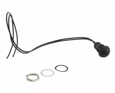 AP2D200TWBE, C & K Single Pole Single Throw (SPST) Momentary Push Button Switch, IP65, IP67, 13.7 (Dia.)mm, Snap-In, 50 V dc, 125 V, Кнопочный переключатель