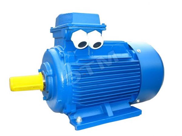 Электродвигатель АД160L2 18,5 кВт 3000 об/мин IM1001