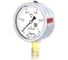 Манометр виброустойчивый Физтех ДМ8008-ВУф 0-1 МПа кт.1,0 d.100 IP54 M20x1,5 РШ, Глицерин 4687205454614