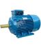 Электродвигатель 5АИ 200 L4 45/1500 IM 1001