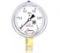 Манометр виброустойчивый Физтех ДМ8008-ВУф 0-1 МПа кт.1,0 d.100 IP54 G1/2 РШ, Силикон 4687205640048