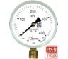 Манометр технический Физтех МП3-Уф_исп_ЭКО 0-400 кПа кт.1,5 d.100 IP40 G1/2 РШ 4687205629197