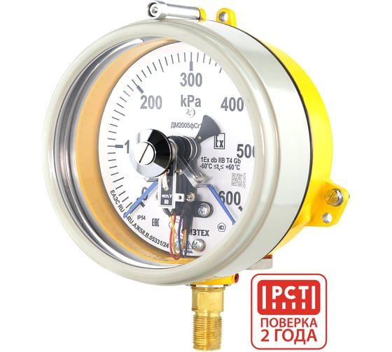 Манометр электроконтактный взрывозащищенный Физтех ДМ2005ф Сг 1Exd исп V 0-600 кПа кт.1,5 d.160 IP54 M20_1,5 РШ 4687205623171
