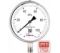 Манометр коррозионностойкий Физтех ДМ8008-ВУф Кс исп 2 0-100 кПа кт.1,0 d.160 IP65 M20_1,5 РШ SG, Глицерин 4687205724588