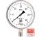Манометр коррозионностойкий Физтех ДМ8008-ВУф Кс исп 2 0-60 МПа кт.1,0 d.160 IP65 M20_1,5 РШ SG, Б/запол 4687205724878