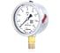 Манометр виброустойчивый ДМ8008-ВУф 0-16 МПа кт.1,0 d.100 IP54 G1/2 РШ, Глицерин Физтех 4687205640154