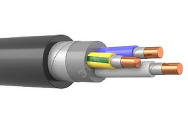 Кабель силовой ВВГнг(А)-FRLS 3х10(N.PE)-0.660 ТРТС
