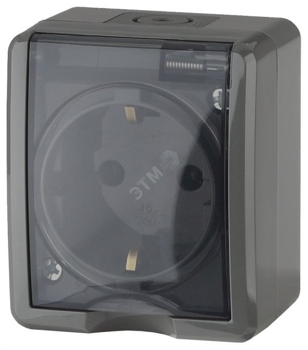 Розетка однофазная наружная (открытой установки) с заземлением без шторок серый 16А 250В IP54 винтовые клеммы 11-2401-03 Эра Эксперт