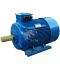 Электродвигатель 5АИ 315 S6 110/1000 IM 1001