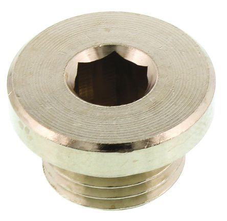 0919 00 13, Legris Brass G 1/4 Corrosion Resistant Plug