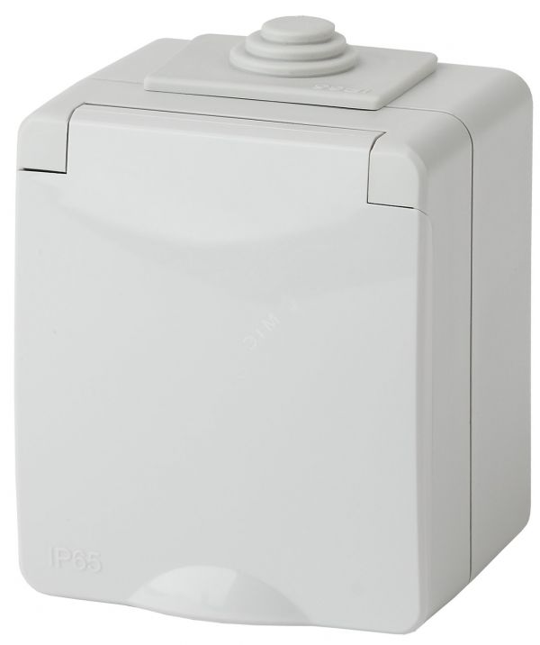 Розетка однофазная наружная (открытой установки) с заземлением без шторок серый 16А 250В IP65 винтовые клеммы 11-2601-03 Эра Эксперт