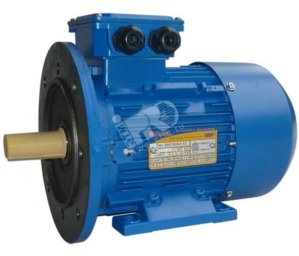 Электродвигатель 5АИ 80 А8 0.37/750 IM 2081