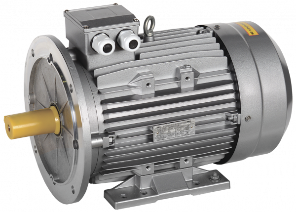 Электродвигатель трехфазный АИС 160M8 660В 4кВт 750об/мин 2081 DRIVE
