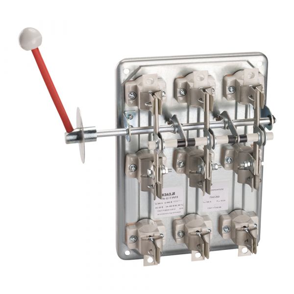 Разъединитель РПБ-1Л-100А-безПВ-У3-