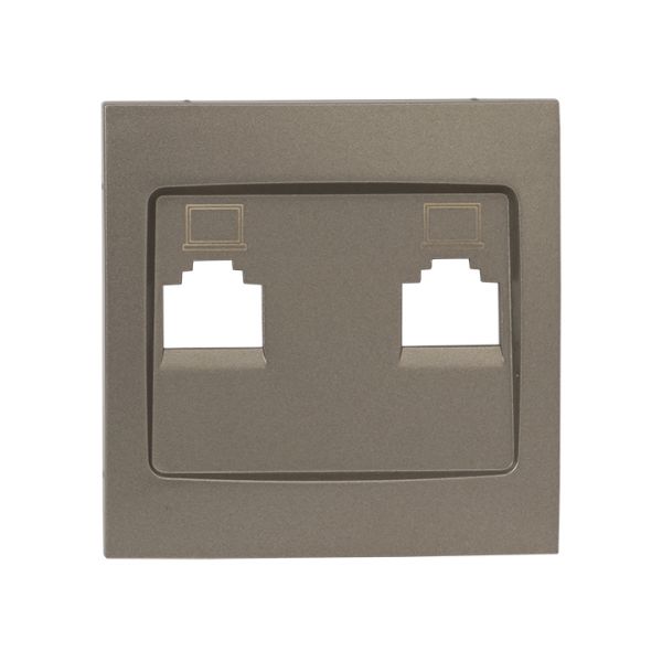 Валенсия лицевая панель розетки RJ-45 2-местная кашемир