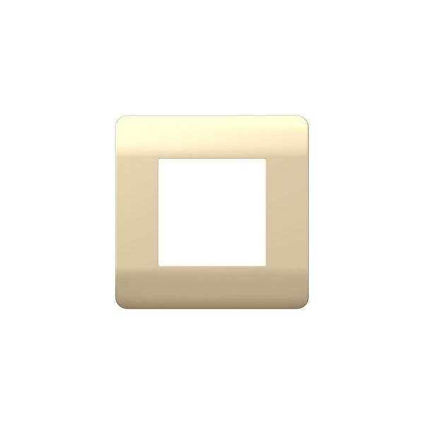 Рамка 1-ая, шампань