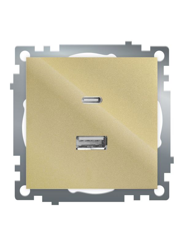 Розетка 2-местная USB+TypeC (механизм) 250В 3А max 20W серия Катрин золото STEKKER