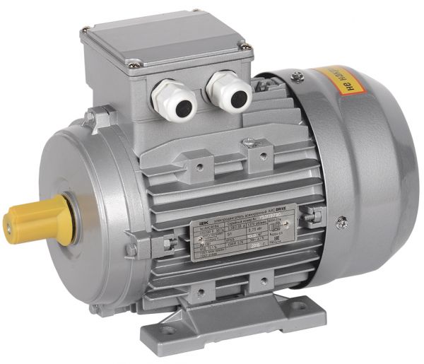 Электродвигатель трехфазный АИС 90L6 380В 1,1кВт 1000об/мин 1081 DRIVE