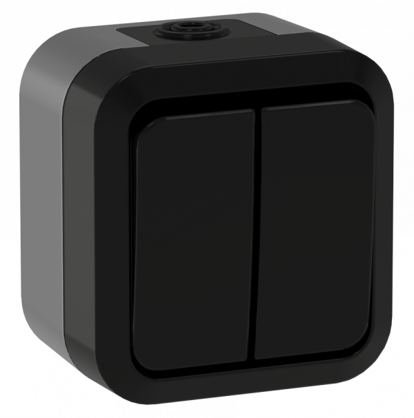 TORS Выключатель двухклавишный проходной 10А IP55 TS125 графит IEK