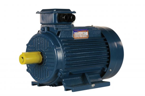 Электродвигатель 5АИ 132 М8 5.5/750 IM 1081