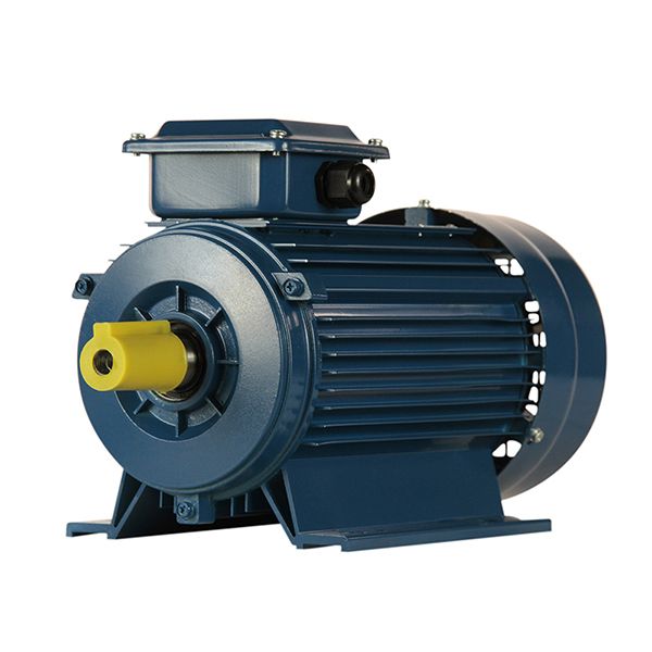 Электродвигатель 5АИ 90 L6 1.5/1000 IM 1081