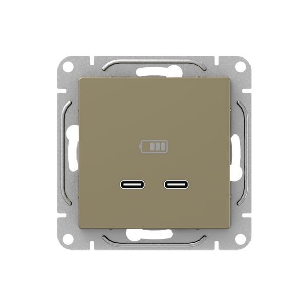 Механизм розетки USB-C - 2шт  шампань Эпика EKF