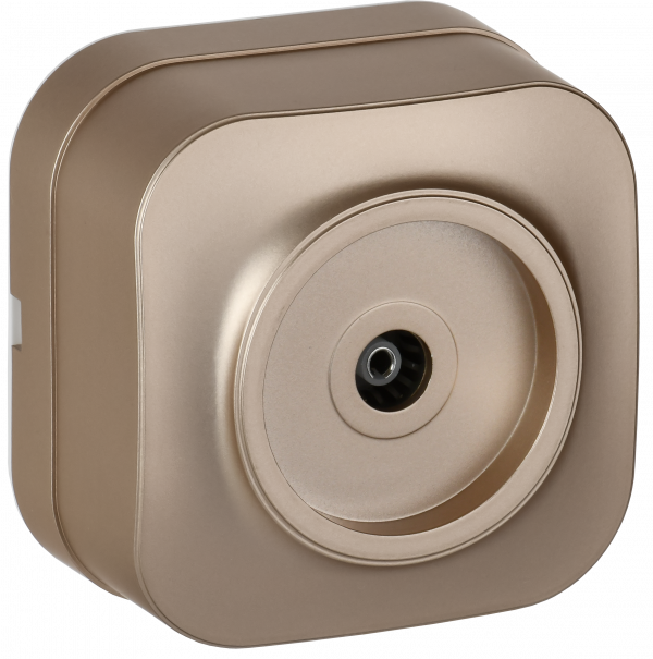 GLORY Розетка для открытой установки TV РТВ20-ХШм шампань матовый IEK