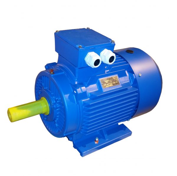 Электродвигатель трехфазный асинхронный АИР 280S8У1 55 кВт 750 об/мин 380/660В IM1081 B3 IP55
