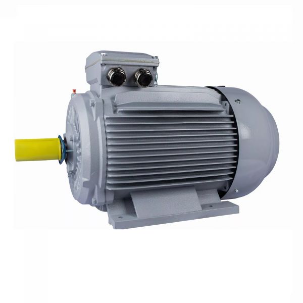 Электродвигатель общепромышленный PR 280 S4-SDN-Б1-S12-IE2 75/1500 IM B3
