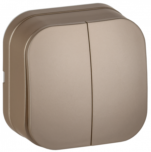 GLORY Выключатель 2-клавишный для открытой установки 10А ВС20-2-0-ХШм шампань матовый IEK