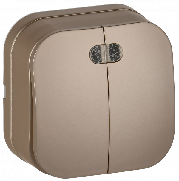 GLORY Выключатель 2-клавишный для открытой установки с индикацией 10А ВС20-2-1-ХШм шампань матовый IEK