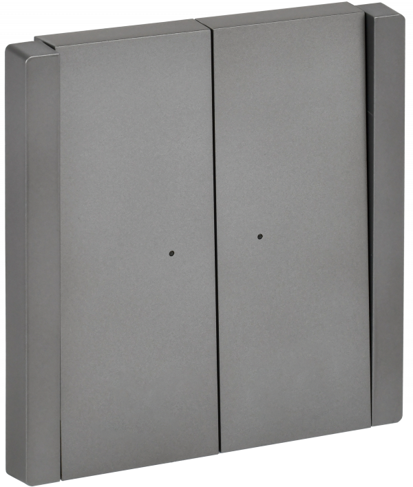 FORTE&PIANO Выключатель 2-клавишный с индикацией 10А FP506 сталь IEK