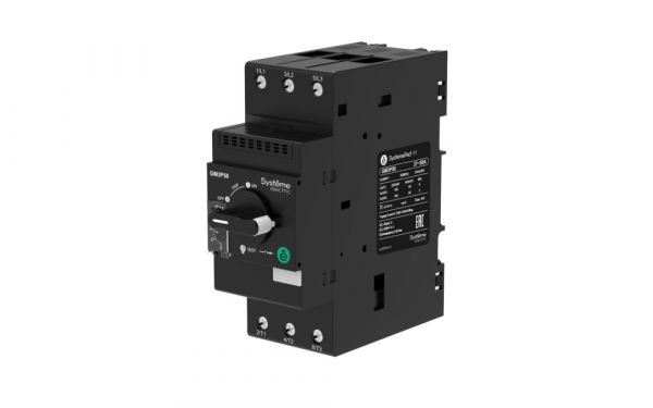 Выключатель автоматический для защиты электродвигателей GM3P 48-65A комбинированный расцепитель поворотная рукоятка ВИНТ.ЗАЖ. (GV3P65)