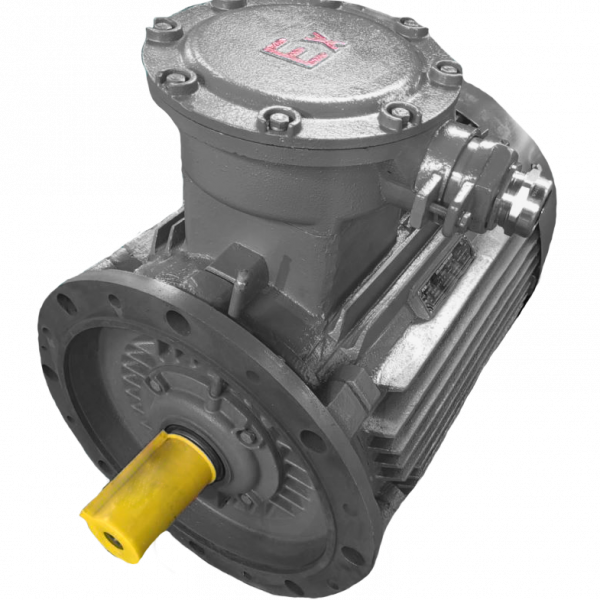 Электродвигатель трехфазный асинхронный OMTG-RT 250S4 75 кВт 1500 об/мин 380/660В 50 Гц IE1 S1 IC 411, IP55 У2 F, PTC 150C IM3011 роликовый подшипник DE