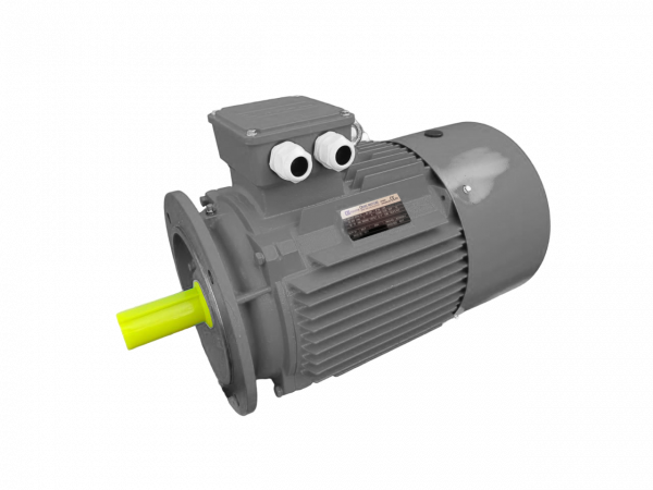 Электродвигатель трехфазный асинхронный OMTG-RT 315MВ2 250 кВт 3000 об/мин 380/660В IM3081 IP55 S1 IC411 IE1 материал корпуса чугун