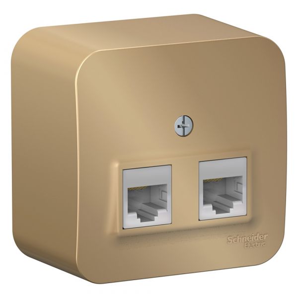 Розетка BLANCA наружная двойная компьютерная RJ45, кат.5e, с изолирующей пластиной, титан