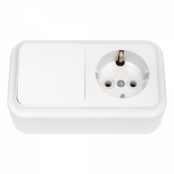 Беларусь Блок: выключатель одноклавишный + розетка с заземлением наружный Пралеска