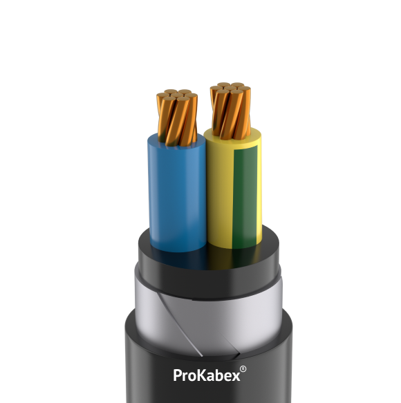 Кабель силовой ВБШвнг-LS-ХЛ 2х25 мк(N)-0,66 ТРТС