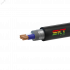 Кабель силовой ВБШв 2х50мк(N)-1 ВНИИКП ТРТС