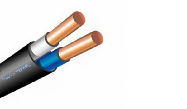 Кабель силовой ВВГ-Пнг(А)-LS 2х2,5 (N)-0,66 100м ТРТС