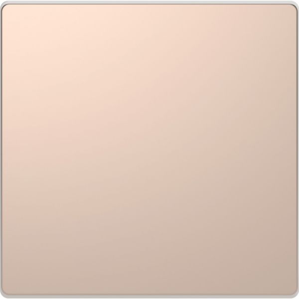 Клавиша одинарная D-Life шампань SD