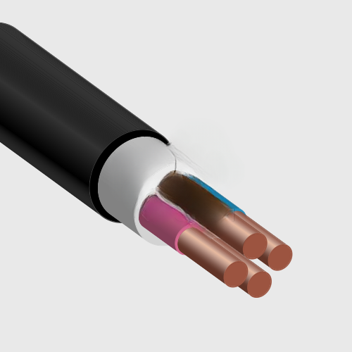 Кабель силовой ВВГнг(А)-LSLTX 4х6 ок (А)-1