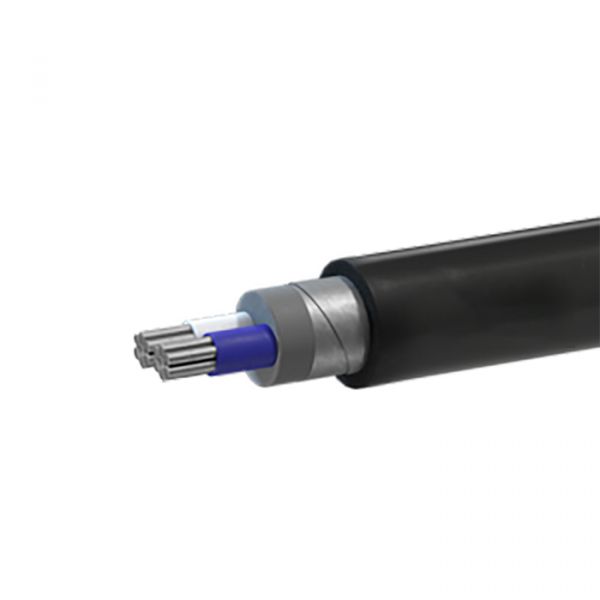 Кабель силовой АВБШвнг(А) 2х35мк(N)-1 ТРТС