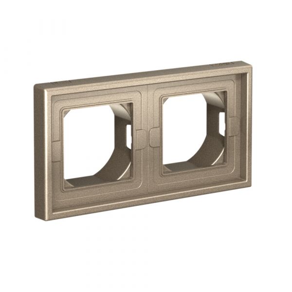 ARTGALLERY 2-постовая РАМКА IP44,  ШАМПАНЬ