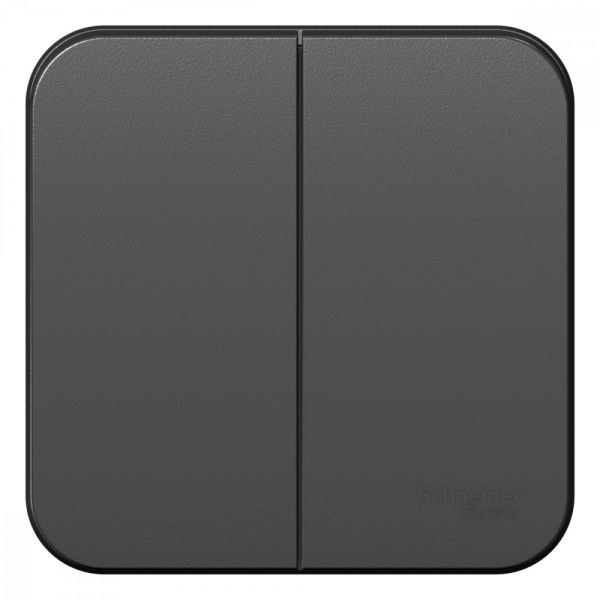 BLANCA  двухклавишный выключатель наружный  (cх.5), 10A, 250B, антрацит