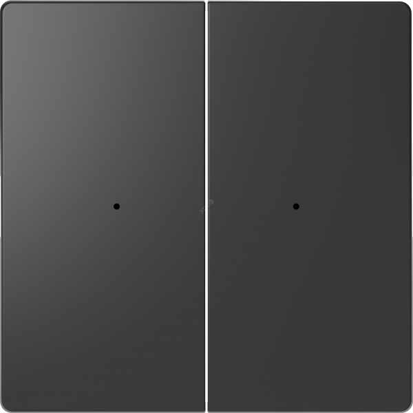 Клавиша D-Life PlusLink 2-ная без символов антрацит SD