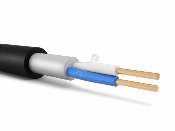 Кабель силовой ВВГнг(А)-ХЛ 2х10ок(N)-0.66 ТРТС
