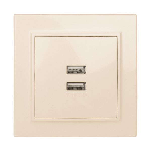 Розетка Минск USB 2-местная СП 2,1А бежевая